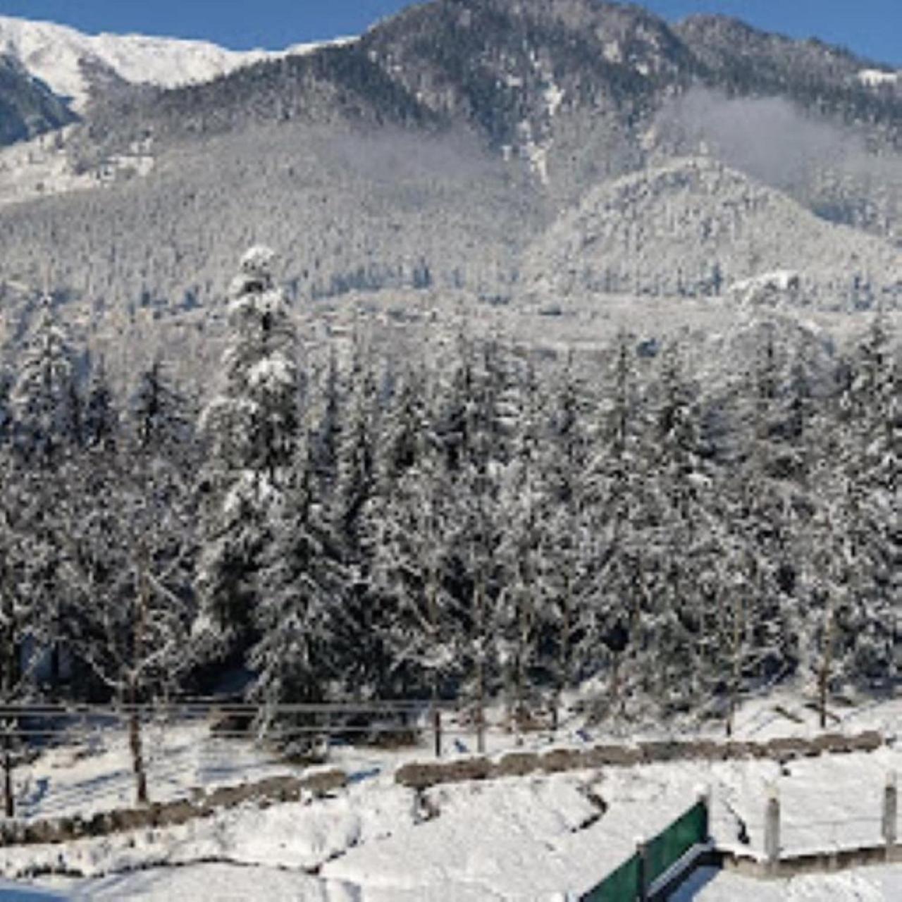 White Mountain Hotel Manali  Ngoại thất bức ảnh